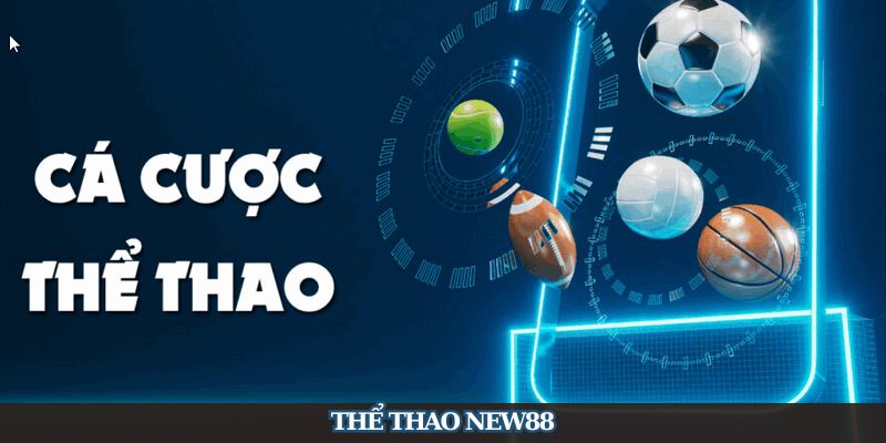 Thể Thao New88 - Thế Giới Cá Cược Sports Đa Dạng Cho Bet Thủ