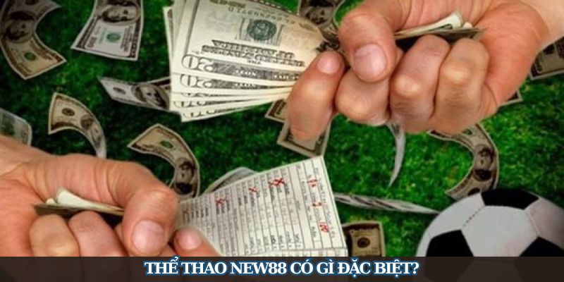 Thể Thao New88 - Thế Giới Cá Cược Sports Đa Dạng Cho Bet Thủ - Ảnh 2