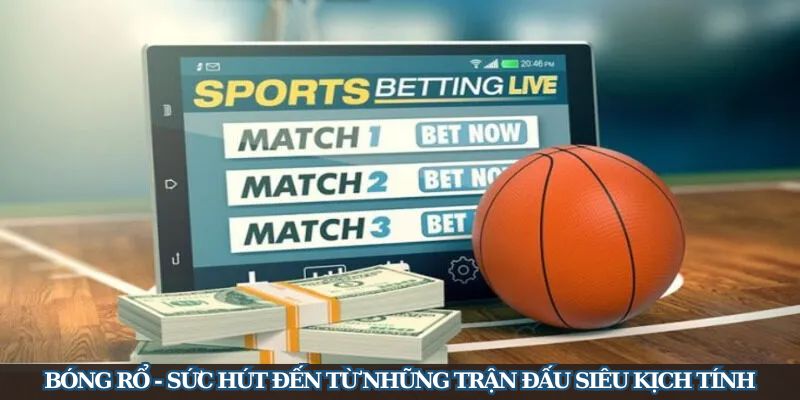 Thể Thao New88 - Thế Giới Cá Cược Sports Đa Dạng Cho Bet Thủ - Ảnh 3