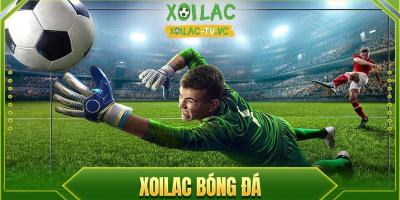 Top 3 Kênh Xem Trực Tiếp Bóng Đá Xôi Lạc Chuẩn Xịn 2025 - Ảnh 3