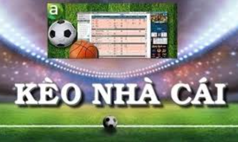 Tỷ lệ kèo nhà cái 5 - Kiến thức để lựa chọn đội đúng - Ảnh 1