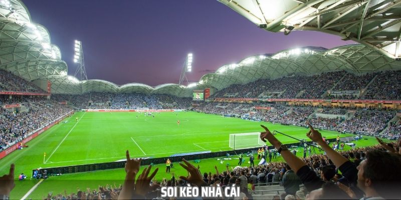 Soi Kèo Nhà Cái - Hướng Dẫn Các Cách Đọc Chuẩn Xác Nhất