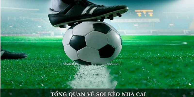 Hướng Dẫn Cược Thủ Soi Kèo Nhà Cái Chuẩn Xác Và Hiệu Quả - Ảnh 2
