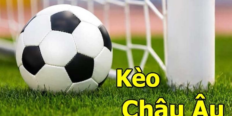 Nowgoal - Nhà Cái Bóng Đá Giới Thiệu Cách Chơi Kèo Châu Âu  - Ảnh 2