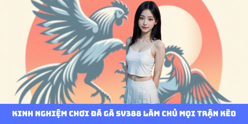 Kinh Nghiệm Chơi Đá Gà - Bí Quyết Làm Chủ Đấu Trường Cá Cược