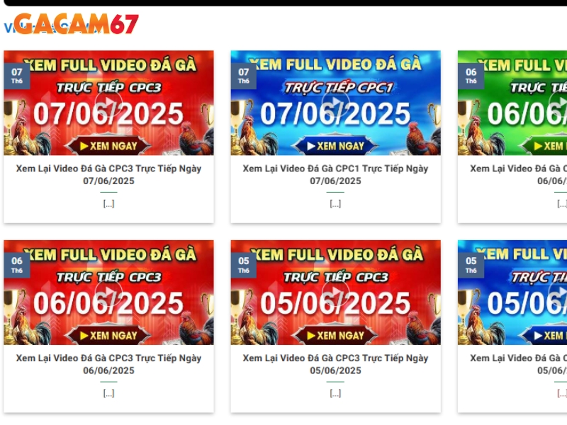 Gacam67 – Nền tảng đá gà trực tiếp Thomo hấp dẫn cho kê thủ - Ảnh 2