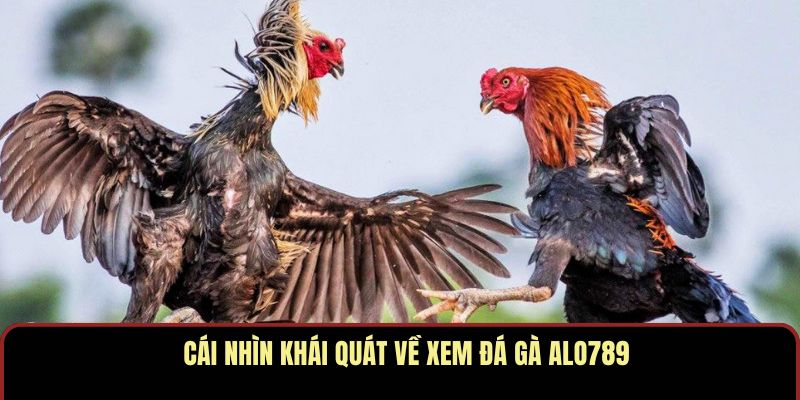 Trải Nghiệm Xem Đá Gà ALO789 Với Chất Lượng Chuẩn Đấu Trường - Ảnh 2