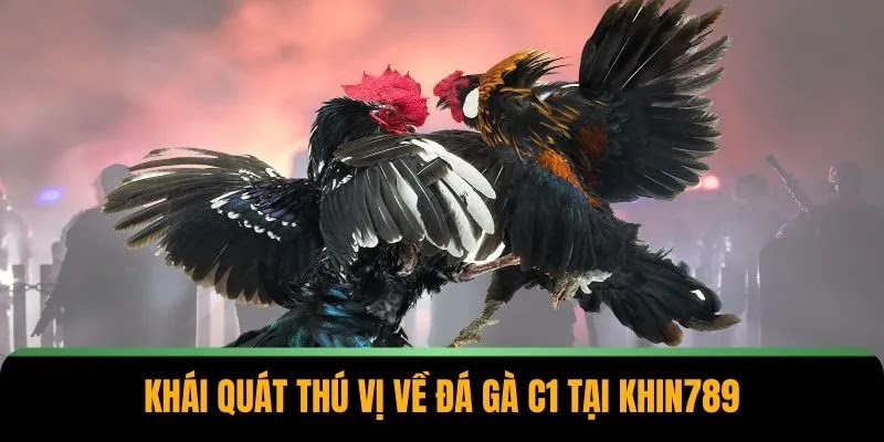 Đá Gà C1 Tại Khin789 – Trải Nghiệm Hứng Khởi Mỗi Phút Giây - Ảnh 2