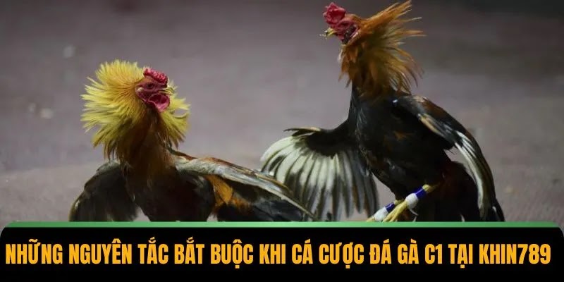 Đá Gà C1 Tại Khin789 – Trải Nghiệm Hứng Khởi Mỗi Phút Giây - Ảnh 3