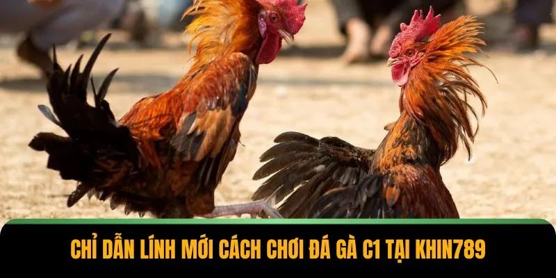 Đá Gà C1 Tại Khin789 – Trải Nghiệm Hứng Khởi Mỗi Phút Giây - Ảnh 4