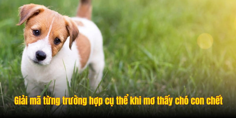 Mơ Thấy Ch&oacute; Con Chết L&agrave; Điềm G&igrave; - Giải M&atilde; &Yacute; Nghĩa C&ugrave;ng ALO789 - Ảnh 2