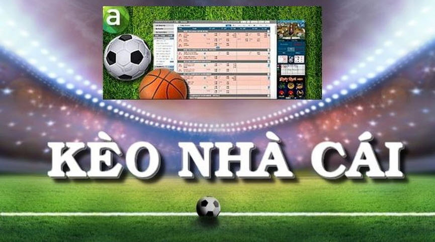 11mtv - Xem bóng đá trực tuyến hàng đầu Việt Nam - Ảnh 2