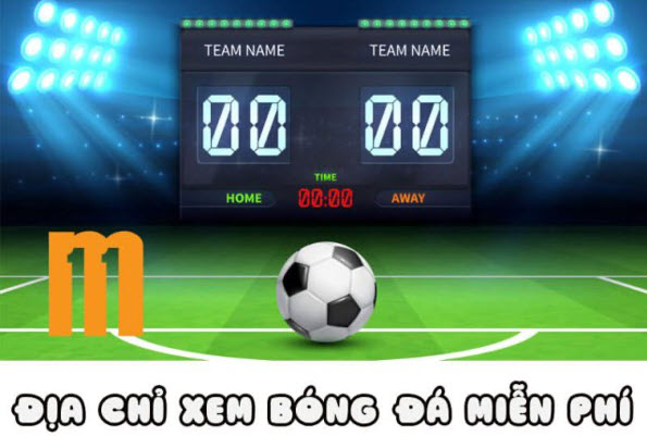 11mtv - Xem bóng đá trực tuyến hàng đầu Việt Nam - Ảnh 5