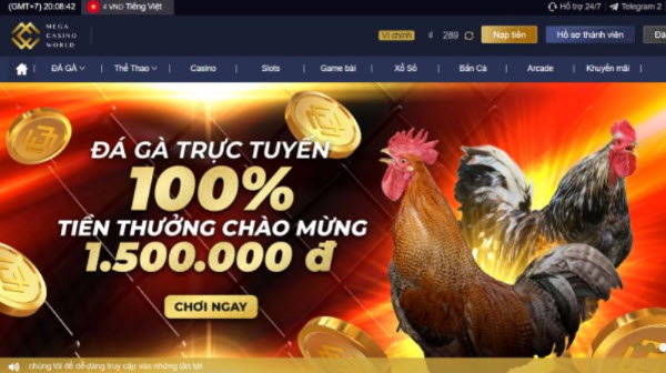 Đá gà thomo hôm nay tại casinomcw: Trải nghiệm cược trực tuyến độc đáo  - Ảnh 6