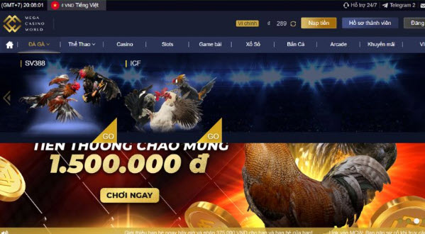 Trải Nghiệm Đá Gà Thomo hôm nay Tại Sòng Bạc Casinomcw  - Ảnh 3