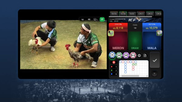 Casinomcw - Hành Trình Khám Phá Thế Giới Đá Gà Trực Tuyến - Ảnh 1