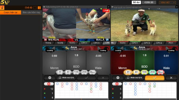 Casinomcw - Hành Trình Khám Phá Thế Giới Đá Gà Trực Tuyến - Ảnh 2