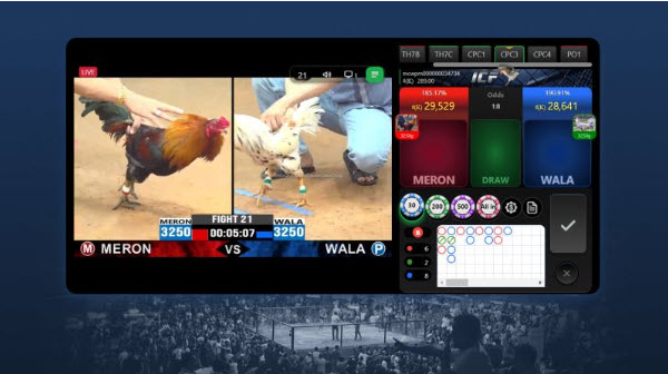 Casinomcw - Hành Trình Khám Phá Thế Giới Đá Gà Trực Tuyến - Ảnh 3