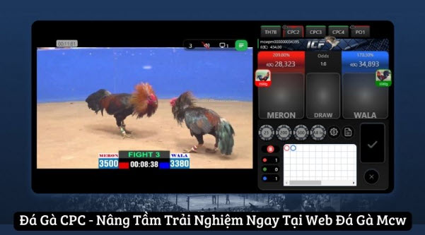 Đá Gà CPC - Nâng Tầm Trải Nghiệm Ngay Tại Web Đá Gà Mcw - Ảnh 1