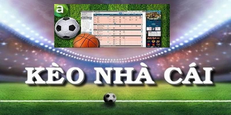 Tỷ Lệ Kèo Nhà Cái - Hướng Dẫn Cách Đọc Kèo Chuẩn 100% - Ảnh 2