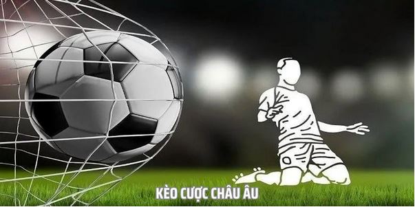 Khám Phá Tất Tần Tật Về Các Loại Tỷ Lệ Kèo Nhà Cái 88 - Ảnh 2