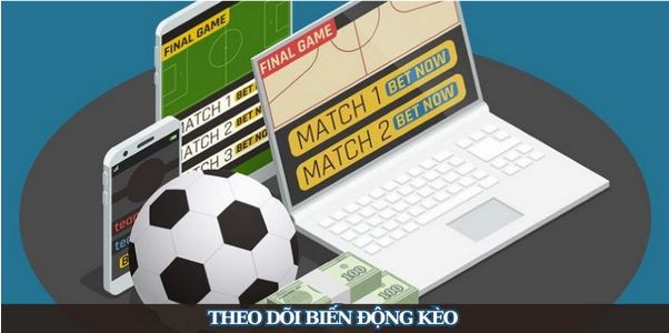 Thể Thao Bossfun - Trải Nghiệm Thế Giới Cá Cược Đẳng Cấp - Ảnh 3