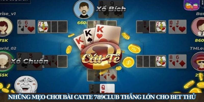 Hướng Dẫn Cách Chơi Bài Catte 789Club Cho Các Newbie - Ảnh 4