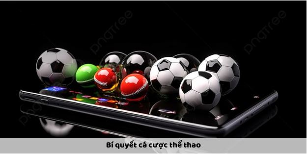 Thể Thao 777loc – Sân Chơi Cược Uy Tín Hàng Đầu Cho Cược Thủ - Ảnh 4