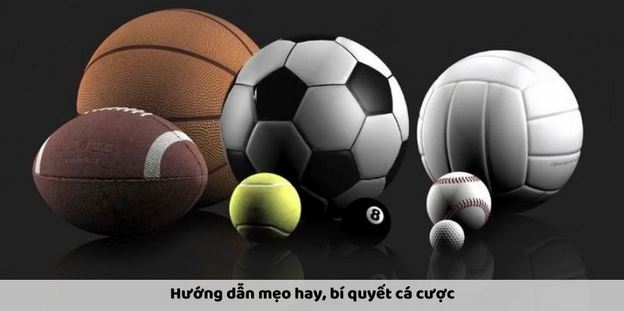 Thể Thao BJ88 – Sân Chơi Cá Cược Đỉnh Cao Cho Mọi Cược Thủ - Ảnh 3